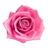 bloomnovix