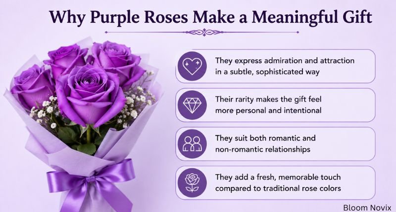 Purple rose bouquet showing why purple roses make a meaningful gift for expressing admiration, rarity, relationships, and memorable moments.