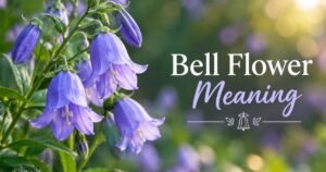 Bell Flower Meaning with beautiful purple bell-shaped flowers in a garden
