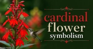 Cardinal flower symbolism with bright red cardinal flowers and a hummingbird in a natural garden setting