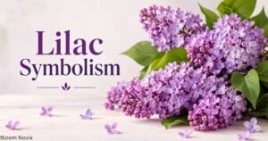 Lilac Symbolism with a bouquet of purple lilac flowers and soft spring-inspired background