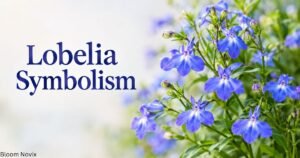 Lobelia symbolism featuring vibrant blue lobelia flowers with green leaves