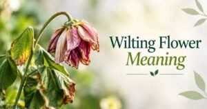 Wilting flower meaning with a drooping pink flower and fading green leaves in a soft garden background.
