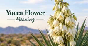 Yucca Flower Meaning