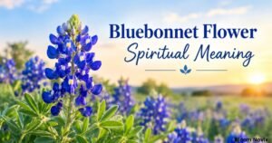 Bluebonnet flower spiritual meaning with vibrant blue Texas bluebonnet blooms in a peaceful sunlit field.